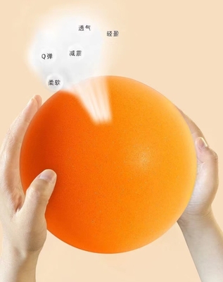 Skip Ball Indoor Silent Bouncing Mute Ball 24cm for Kids Age Range 5-7 Years